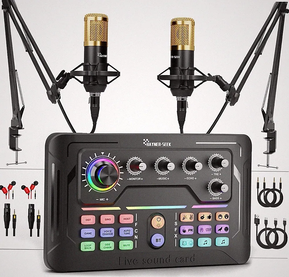 Hayner-Seek Podcast Equipment Bundle for 2 for Live Streaming, DJ Mixer