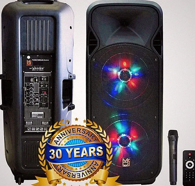 MR DJ LETSPARTY Dual 12" Battery Powered Bluetooth Speaker, UHF Wireless